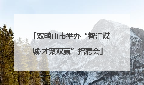 双鸭山市举办“智汇煤城·才聚双赢”招聘会