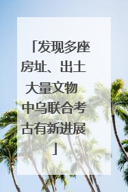 发现多座房址、出土大量文物 中乌联合考古有新进展
