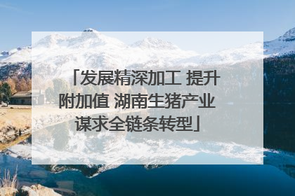 发展精深加工 提升附加值 湖南生猪产业谋求全链条转型