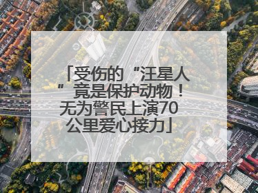 受伤的“汪星人”竟是保护动物！无为警民上演70公里爱心接力