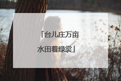 台儿庄万亩水田着绿裳