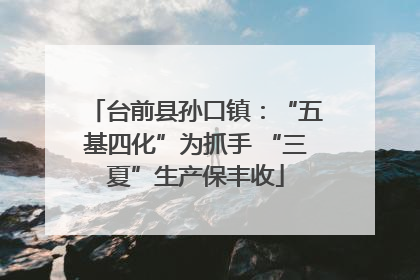 台前县孙口镇：“五基四化”为抓手 “三夏”生产保丰收