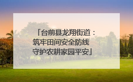 台前县龙翔街道：筑牢田间安全防线 守护农耕家园平安