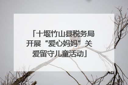 十堰竹山县税务局开展“爱心妈妈”关爱留守儿童活动