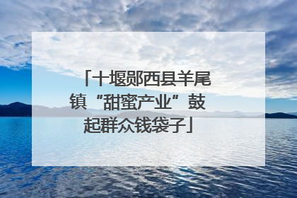 十堰郧西县羊尾镇“甜蜜产业”鼓起群众钱袋子