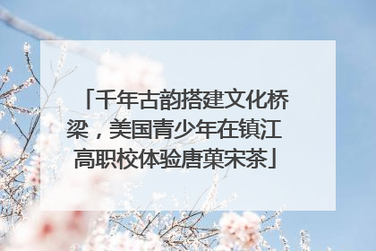 千年古韵搭建文化桥梁，美国青少年在镇江高职校体验唐菓宋茶