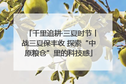 千里追耕·三夏时节丨战三夏保丰收 探索“中原粮仓”里的科技感