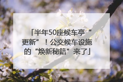 半年50座候车亭“更新”！公交候车设施的“焕新秘籍”来了