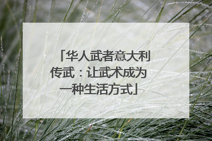 华人武者意大利传武：让武术成为一种生活方式