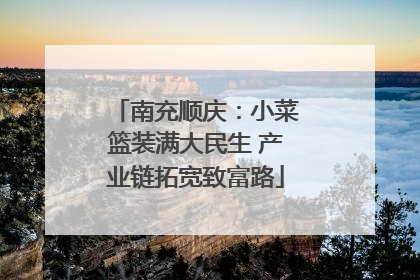 南充顺庆：小菜篮装满大民生 产业链拓宽致富路