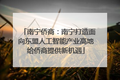 南宁侨商：南宁打造面向东盟人工智能产业高地给侨商提供新机遇
