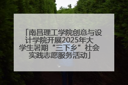 南昌理工学院创意与设计学院开展2025年大学生暑期“三下乡”社会实践志愿服务活动