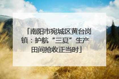 南阳市宛城区黄台岗镇：护航“三夏”生产 田间抢收正当时