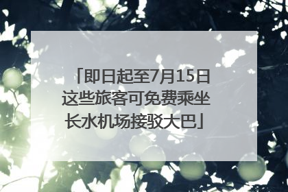 即日起至7月15日 这些旅客可免费乘坐长水机场接驳大巴