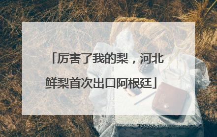 厉害了我的梨，河北鲜梨首次出口阿根廷