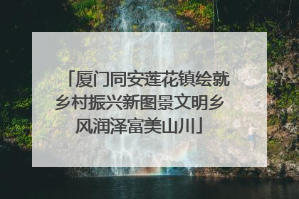 厦门同安莲花镇绘就乡村振兴新图景文明乡风润泽富美山川
