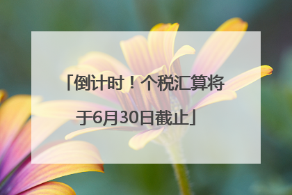 倒计时！个税汇算将于6月30日截止