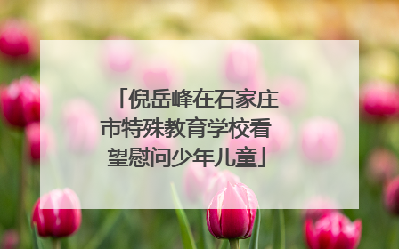 倪岳峰在石家庄市特殊教育学校看望慰问少年儿童