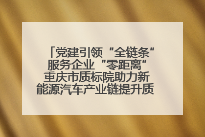 党建引领“全链条” 服务企业“零距离” 重庆市质标院助力新能源汽车产业链提升质量管理水平
