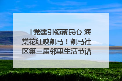 党建引领聚民心 海棠花红映凯马！凯马社区第三届邻里生活节谱写幸福新篇章