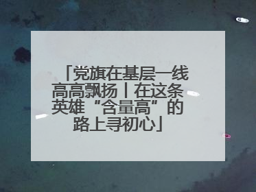 党旗在基层一线高高飘扬丨在这条英雄“含量高”的路上寻初心