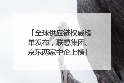 全球供应链权威榜单发布，联想集团、京东两家中企上榜