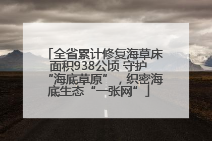 全省累计修复海草床面积938公顷 守护“海底草原”，织密海底生态“一张网”