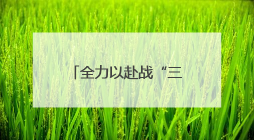 全力以赴战“三夏” 天津小麦机收会战拉开序幕