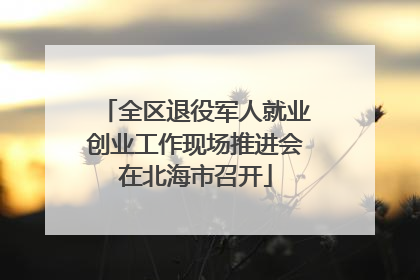 全区退役军人就业创业工作现场推进会在北海市召开