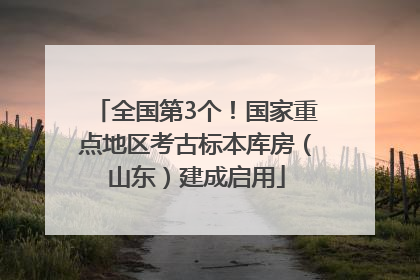 全国第3个！国家重点地区考古标本库房（山东）建成启用