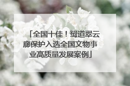 全国十佳！蜀道翠云廊保护入选全国文物事业高质量发展案例