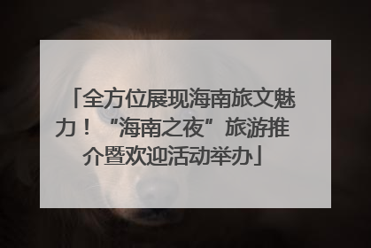 全方位展现海南旅文魅力！“海南之夜”旅游推介暨欢迎活动举办
