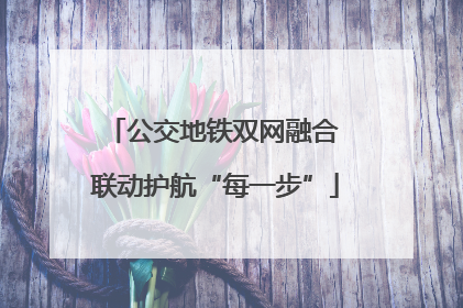 公交地铁双网融合 联动护航“每一步”