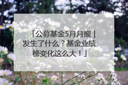 公募基金5月月报｜发生了什么？基金业绩榜变化这么大！