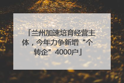 兰州加速培育经营主体，今年力争新增“个转企”4000户