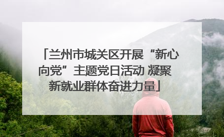 兰州市城关区开展“新心向党”主题党日活动 凝聚新就业群体奋进力量