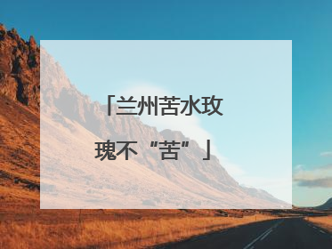 兰州苦水玫瑰不“苦”