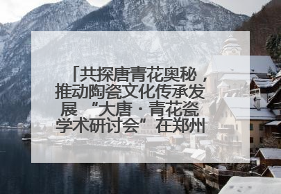 共探唐青花奥秘，推动陶瓷文化传承发展 “大唐・青花瓷学术研讨会”在郑州圆满举行