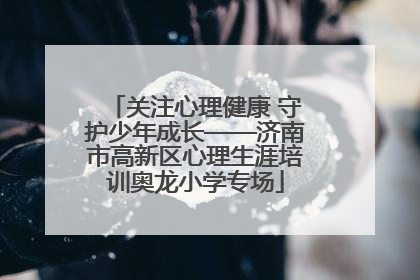 关注心理健康 守护少年成长——济南市高新区心理生涯培训奥龙小学专场