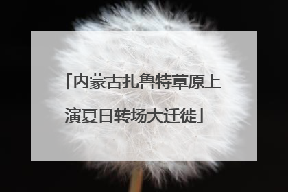 内蒙古扎鲁特草原上演夏日转场大迁徙