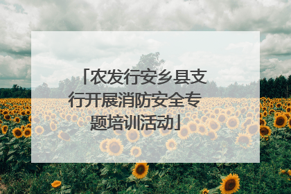 农发行安乡县支行开展消防安全专题培训活动