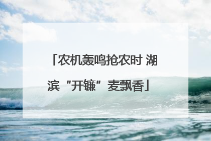 农机轰鸣抢农时 湖滨“开镰”麦飘香