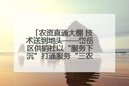 农资直通大棚 技术送到地头——岱岳区供销社以“服务下沉”打通服务“三农”最后一公里