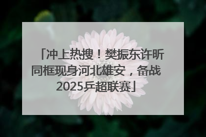 冲上热搜！樊振东许昕同框现身河北雄安，备战2025乒超联赛