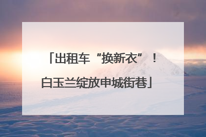 出租车“换新衣”！白玉兰绽放申城街巷