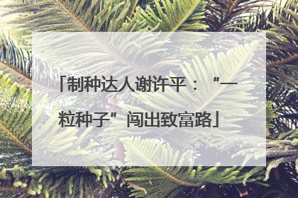 制种达人谢许平：“一粒种子”闯出致富路