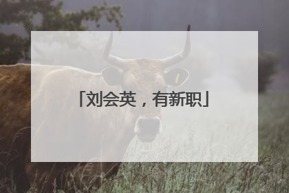 刘会英，有新职