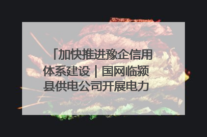 加快推进豫企信用体系建设｜国网临颍县供电公司开展电力行业信用企业现场咨询访谈工作