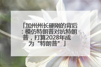 加州州长硬刚的背后：模仿特朗普对抗特朗普，打算2028年成为“特朗普”