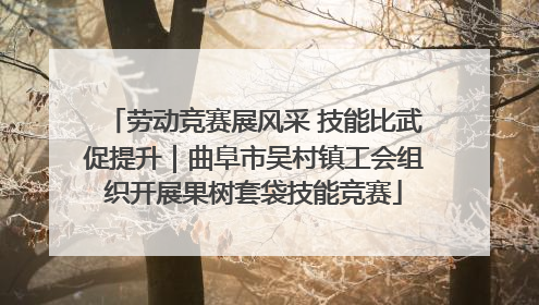 劳动竞赛展风采 技能比武促提升｜曲阜市吴村镇工会组织开展果树套袋技能竞赛